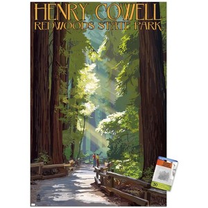 Trends International Lantern Press - Redwoods Pathway in Trees Unframed Wall Poster Prints - 1 of 4