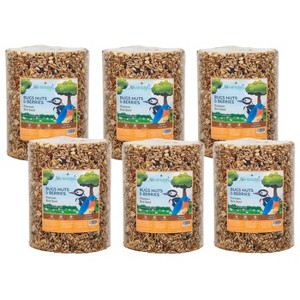 JCS Wildlife Bugs Nuts and Berries Premium Bird Seed Large Cylinder, 3.8 lb - 1 of 2
