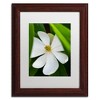 Trademark Fine Art -Kurt Shaffer 'White Magnolia Flower' Matted Framed Art - 2 of 4