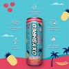 EHPlabs OxyShred Energy Drink - Zero Sugar, Zero Calories, with Amino Acids, Vitamin C, Green Tea Extract & Clean Caffeine - Bahama Breeze (12-Pack) - 3 of 4