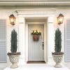 COWLOWN 59" Set of 2 UV - Resistant Artificial Topiary Trees£¬ Faux Cedar, Pine & Cypress for Front Porch, Patio - 2 of 4