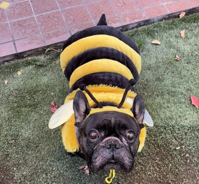 Guest review image 1 of 1, zoom in