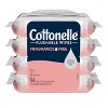 Cottonelle Fragrance Free Flushable Wipes - 4pk/42ct - 2 of 4