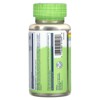 Solaray True Herbs, Fennel, 450 mg, 100 VegCaps - 3 of 4