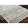 Hauteloom Pavan Area Rug - 3 of 4