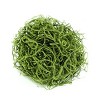 SuperMoss Preserved Spanish Moss: Natural Fill for Gift Baskets, Soil Cover, Orchid Decor - Online-Unique - 2 of 4
