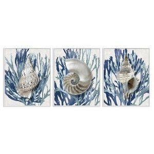 Stupell Industries Trio of Shells & Coral, 16" x 20" - 1 of 4