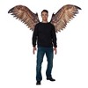 California Costumes Eagle Bird Of Prey Costume Wings | One Size Fits Most - 3 of 4