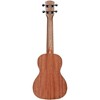 Alvarez RU22C Regent Series Concert Ukulele - 4 of 4
