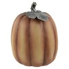 Northlight Autumn "Bless the Harvest and Give Thanks" Pumpkin Decoration - 10" - Orange - 4 of 4