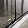 Double Sliding Glass Shower Door  60 in. W x 72 in. H Aluminum Framed Shower Enclosure , Stainless Steel Hardware, Bathroom Panel,Matte Black - 4 of 4