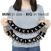 Big Dot of Happiness Happy Retirement - Retirement Party Mini Pennant Banner - Officially Retired - 3 of 4
