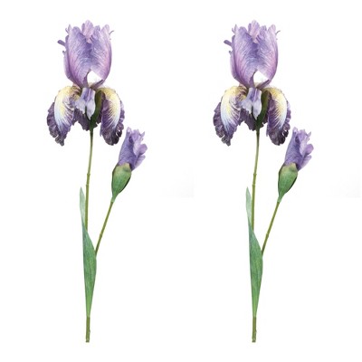 Melrose Iris Floral Stem (Set of 6)