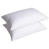 Dr. Pillow Dreamzie Adjustable Therapeutic Pillow - 2 of 4
