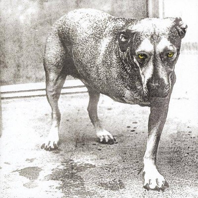 Alice in Chains - Alice in Chains (CD)