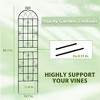 Metal Plant Trellises for Climbing Plants - 3 of 4