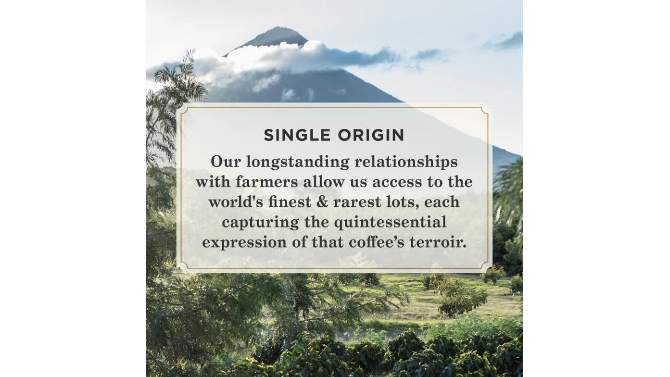 Peet&#39;s Costa Rica Single Origin Medium Roast Ground Coffee - 10.5oz, 5 of 7, play video