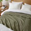 Gracie Mills Janette Ring Spun Cotton Blanket - 2 of 4