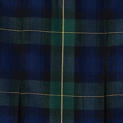 hunter/classic navy plaid
