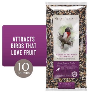 Songbird Selections Wild Bird Nuts Bird Seed 10 lb - 1 of 1
