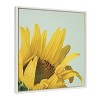 Kate and Laurel Sylvie Emerging Sunflower Framed Canvas by Emiko and Mark Franzen of F2Images, 22x22, White - 2 of 4