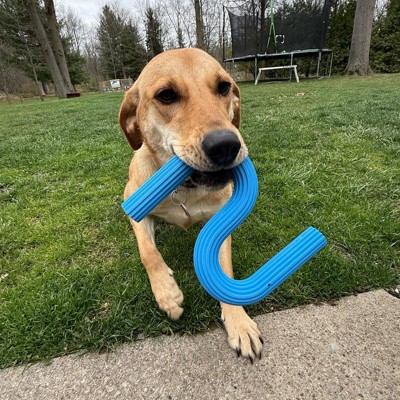 Wishbone Horseshoe Dog Toy - Boots & Barkley™: Rubber, Chew & Tug