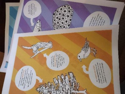 Guest review image 1 of 1, zoom in