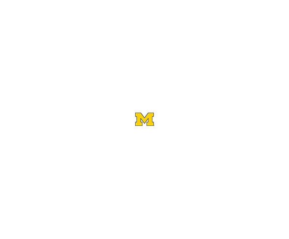 NCAA Michigan Wolverines Necktie