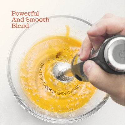 800W Stainless Steel 2-Speed Immersion Blender Set with Attachments