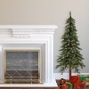 Haute Decor 5' Prelit Mountain Fir Christmas Tree - 2 of 4