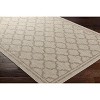 Hauteloom Noam Beige Indoor & Outdoor Rug - 4 of 4