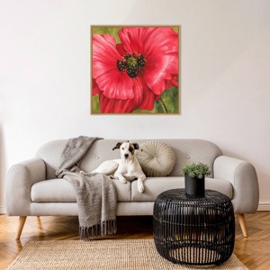 Amanti Art Vivid Poppy II by Grace Popp Framed Wall Art Print - 1 of 4