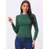 Allegra K Women's Turtleneck Solid Long Sleeve Ribbed Knit Pullover Sweater Jumper - 2 of 4