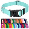 Country Brook Petz American Made Deluxe Nylon Dog Collar - 2 of 4