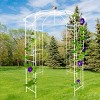 Metal Garden Arch Trellis, Birdcage-Shaped Pergola Arbour for Climbing Plants Like Roses, Vines, Clematis, Outdoor Climbers for Shade – Cuddlewood - 3 of 4