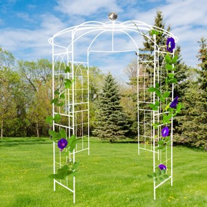 Lorna 81.3''x114.2''Arch MetalGarden Trelli, Birdcage Shape Pergola Pavilion for Wedding Ceremony, Outdoor Furniture Near Me - The Pop Home - 1 of 4