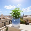 KTMBDW Plant Pots, Ceramic Planters with Drainage Holes, Flower Pots,Nursery Planting Pot for Indoor Out Door Plants - 2 of 4