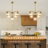 PAKOKULA Modern 5-Light Gold Sputnik Branch Chandelier with Clear Open Globe Glass Shades for Dining Room Living Room - 3 of 4
