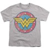 Boys' Short Sleeve Wonder Woman Classic 2 T-Shirt - 2 of 4