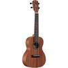 Alvarez RU22C Regent Series Concert Ukulele - 3 of 4