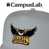 Official Kennesaw State University Primary Logo Foam Snapback Trucker Hat - for Men and Women Grey, Grey, One Size - 4 of 4