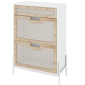 Narrow Rattan Shoe Cabinet with 2 Flip-Doors & Flip-Drawer, Freestanding Storage Organizer with Metal Legs for Entryway Hallway & Living Room - 1 of 4