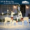 Joyfy 3 Packs Christmas Reindeer Family Set Yard Light Decorations with Warm White LED Lights for Christmas Eve Night Indoor Outdoor Holiday Decor - 3 of 4