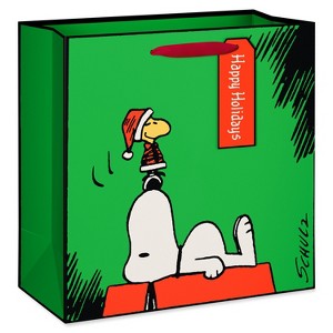 American Greetings 10"x5"x10" Peanuts Large Square Snoopy and Woodstock On Green - 1 of 4