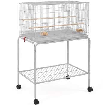Best Choice Products 36in Indoor/Outdoor Iron Bird Cage for Parrot,  Lovebird w/ Removable Tray, 4 Feeders, 2 Toys