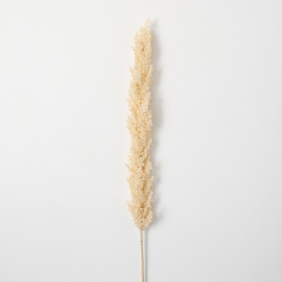 Sullivans Artificial Dried Tall Plume 43"H