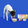Pooch Creamery Ice Cream Mix Peanut Butter Dog Treats Assorted Gift Pack - 4ct - 4 of 4