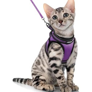 rabbitgoo Cat Harness and Leash Set for Walking Escape Proof, Adjustable for Cats, Comfortable Outdoor Vest, Purple, XL - 1 of 1