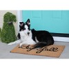 tagltd 1'6"x2'6" Hey Y'All Southern Rectangle Indoor and Outdoor Coir Door Welcome Mat Beige - 4 of 4