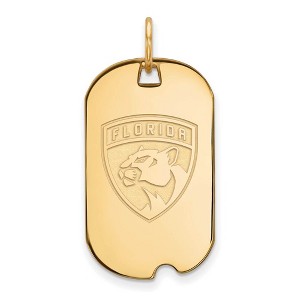 Black Bow Jewelry 14k Yellow Gold Plated Sterling Silver Florida Panthers NHL Pendant - 1 of 3
